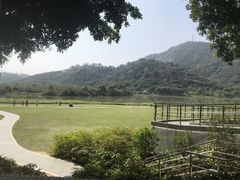 -风云岭森林公园