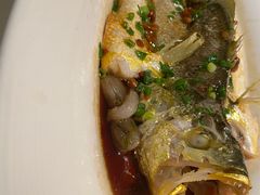 -维园悦谱·海派家常菜(乌鲁木齐南路店)