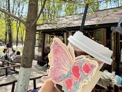 -长白岛森林公园