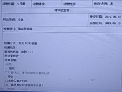 -瑞派动物医院·绝育·犬猫全科·预防医学(光景江南中店)