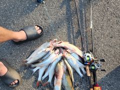 -魏铭鱼头捞饭(晋阳路店)