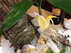 -尚海豆捞(乐虹坊店)