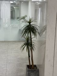 点击看大图 -北京简法造型