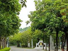 -广东花都湖国家湿地公园