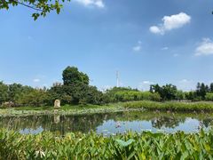 -映月湖公园