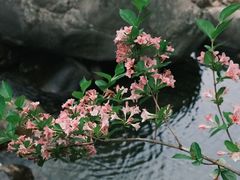 -崂山九水游览区