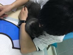 -莘程宠物医院(金山店)