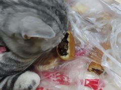 -欣乐糕点店(洪湖里总店)