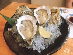法国生蚝-金井日本料理(丽柏广场店)