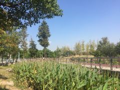 -滆湖低碳生态公园