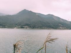 -羚羊峡古栈道森林公园