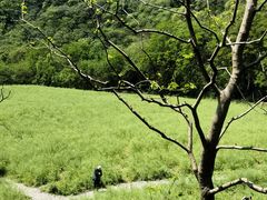 -临平公园(临平街道)