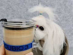 -CUBIC3三立方咖啡(凌空SOHO店)
