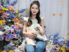 -读宠于你·约克夏比熊·睫角守宫·爬宠售卖(高新店)