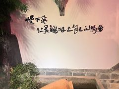 -慢丽江·云南野生菌土鸡锅(付家庄店)
