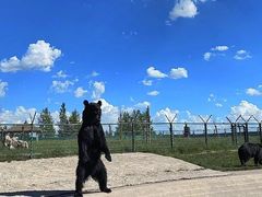 -鄂尔多斯野生动物园