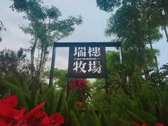 -瑞穗牧场
