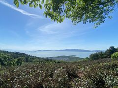 -东山风景区(洞庭东山)