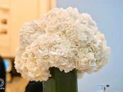 -Lady M Cake Boutique(麦迪逊大道店)