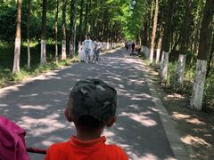 -昆山城市生态森林公园