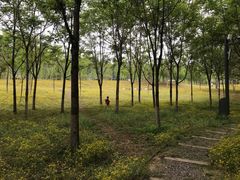 -东郊湿地公园