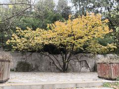 -云龙山