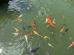 -安溪清水岩