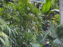 -北京植物园-展览温室