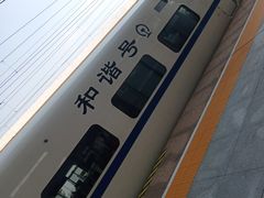 -麦当劳(深圳北站高铁店)