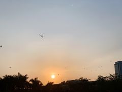 -白鹭洲公园