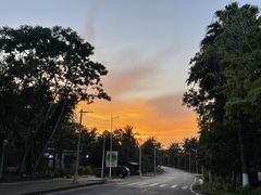 -东寨港红树林旅游区