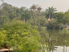 -中国科学院西双版纳热带植物园