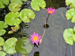 -813芭依珊 BAESAn(皇冠十畝地店)