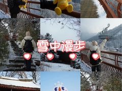 -少华山国家森林公园