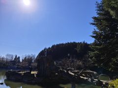 -四明山国家森林公园