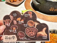 -芸山季·云南山珍菌火锅(人民广场来福士店)