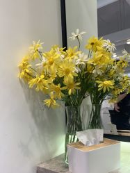 -LJOY丽锦造型·烫发染发