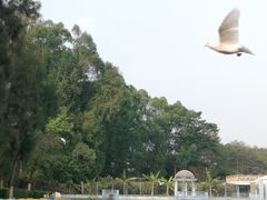 -松山湖梦幻百花洲