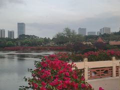 -深圳龙潭公园