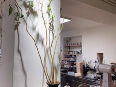 -本無咖啡·BeanWood Coffee