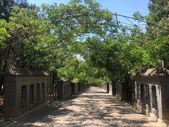 -北京十三陵国家森林公园蟒山景区