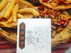 -昆虫窝子·特色云南菜(拓东路总店)