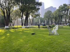 -重庆市江北嘴中央商务区中央公园