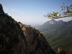 -马遂林烩面馆(少室路店)