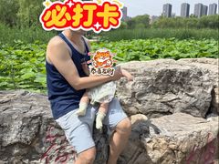 -太阳宫公园