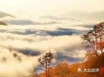 我要住在云海里。通过几个月考察后决定做树屋民宿