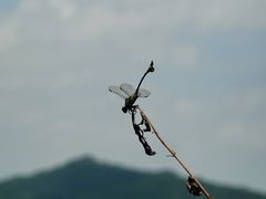 -东钱湖旅游度假区