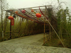 -苏州太湖国家湿地公园
