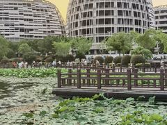 -海天湖公园