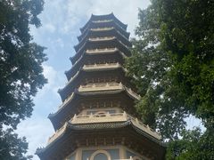 -灵谷景区